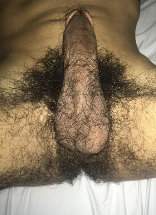 Don’t mind the bush