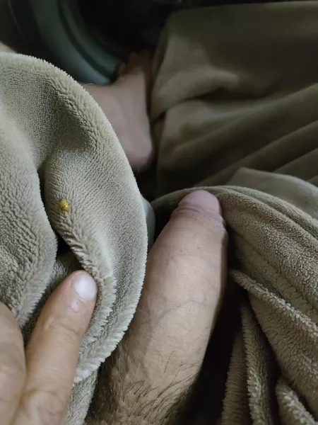 Don't you just love unexpected guests...🐞☺️