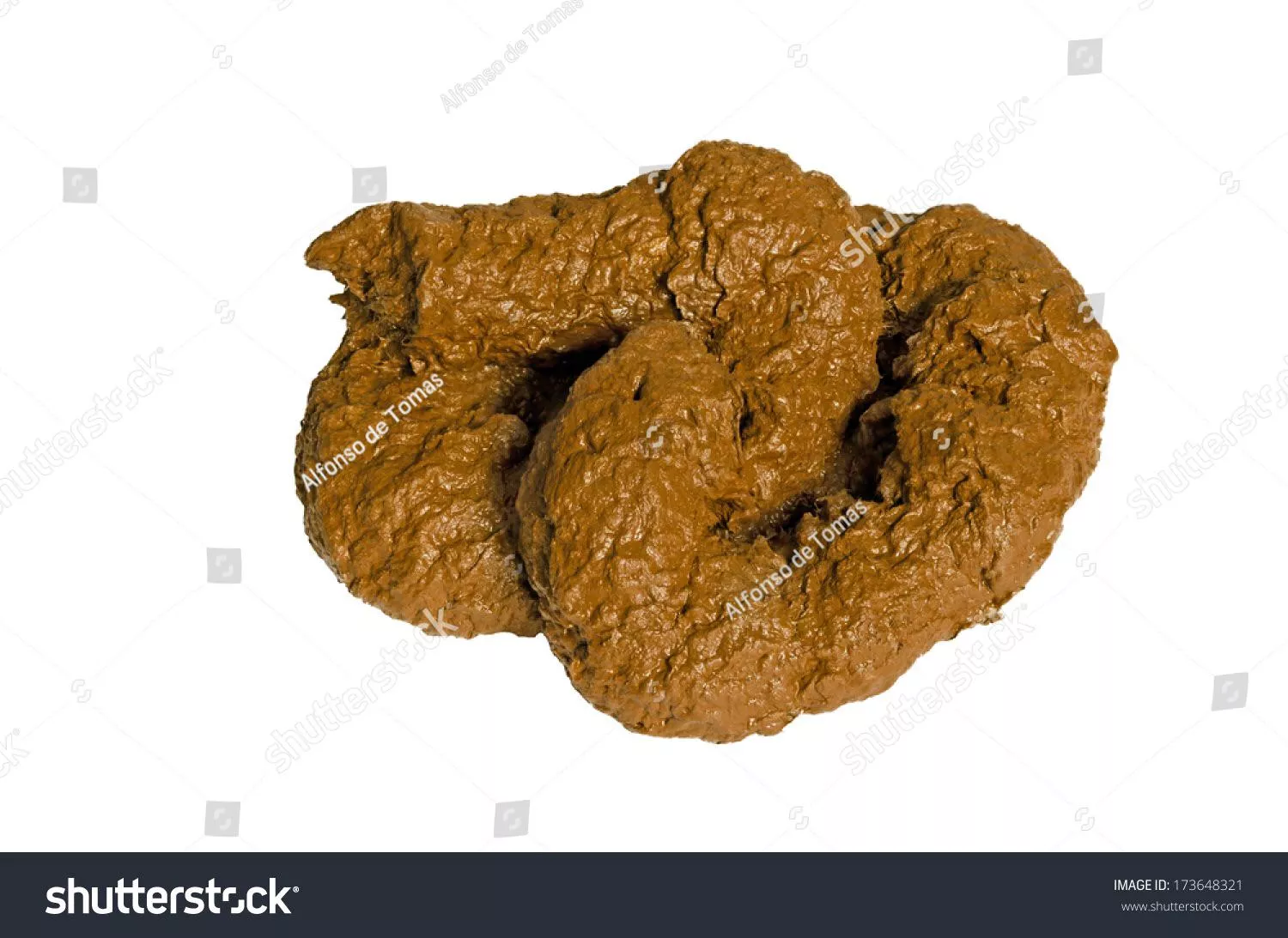 Eat shit bitch
