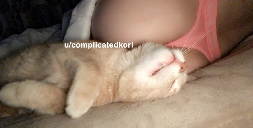 Even Bilbo likes my undies ♥️ Even Bilbo likes my undies ♥️