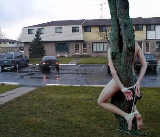 Every evening one women from each street will be used by the men in the street. This helps them reduce stress in their work life. They can use these women in anyways they wanted but can’t untie them.