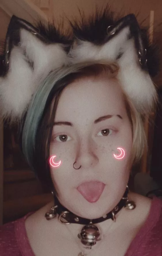 (F 19) can I be your good kitten?! 🖤😉🐾