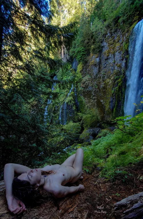 Fairy nap on a log decomposing into soil, reminder of the cycle of Death and Rebirth💫