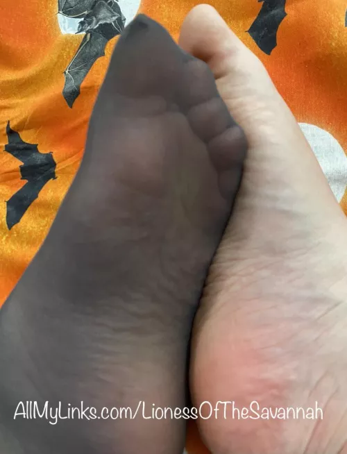 Feeling Spooky! 👻🕸🎃