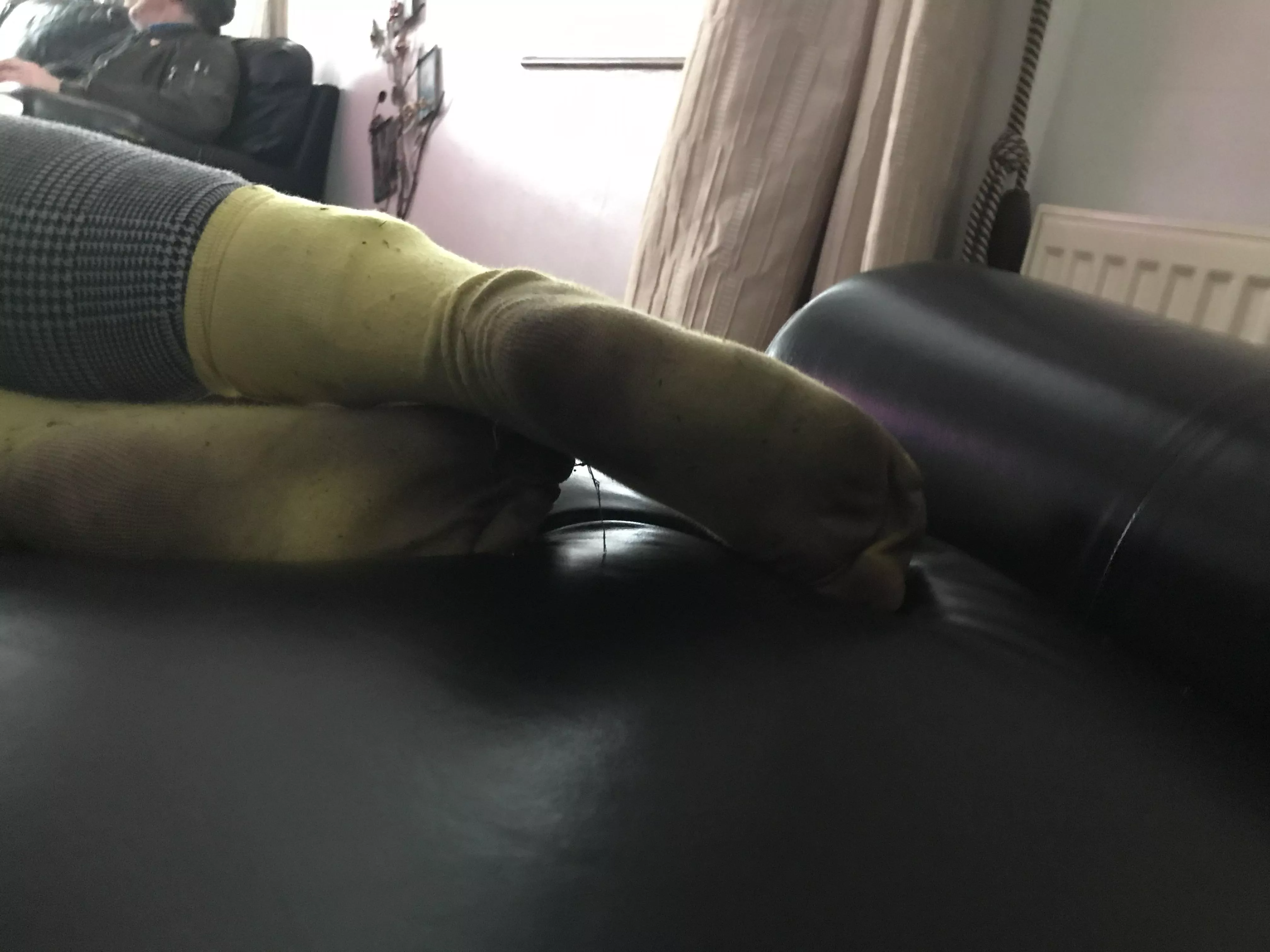 [female] Stinky socks :p just sitting hear and I can smell them the joys off horses 🐎