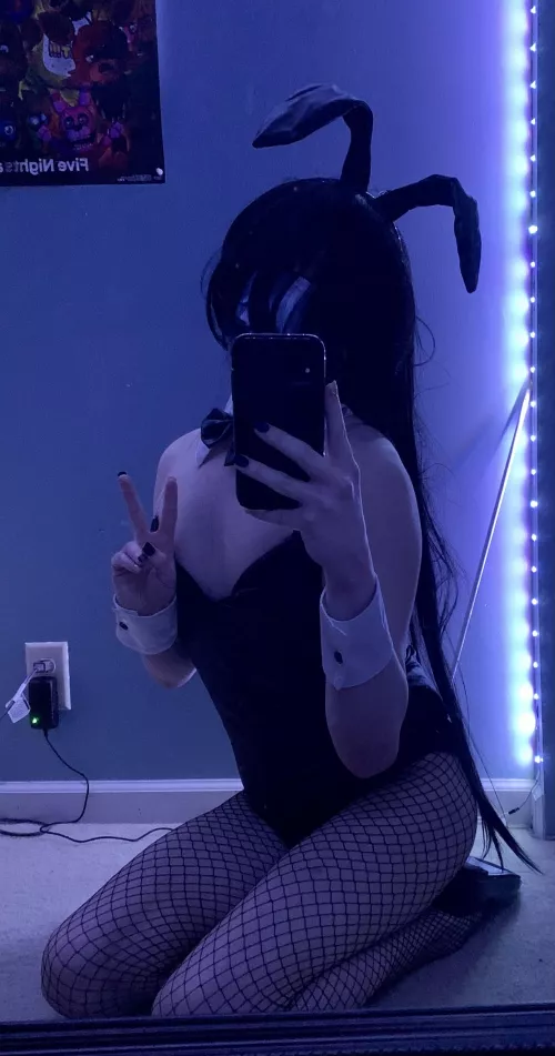 FemBunny: Episode II