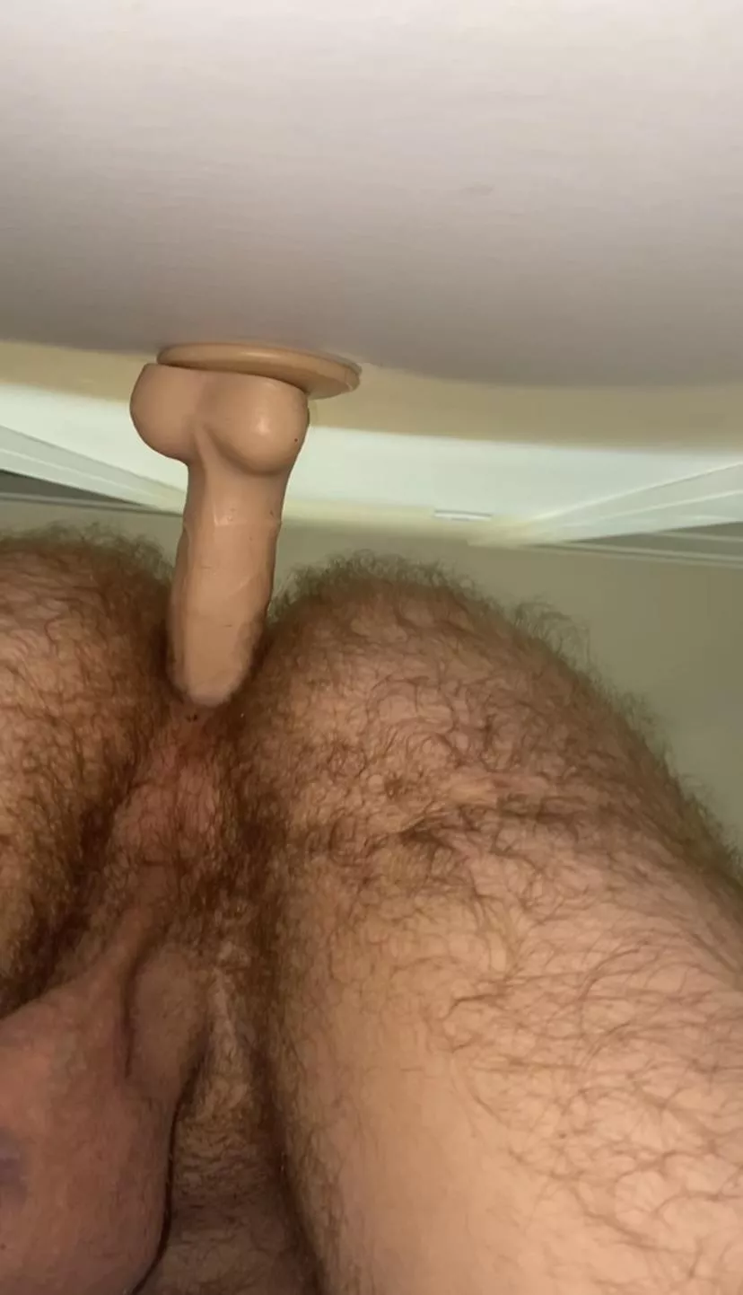 Fill my hairy ass