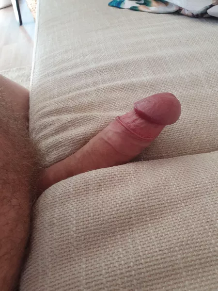 Finally alone at home office Finally alone at home office