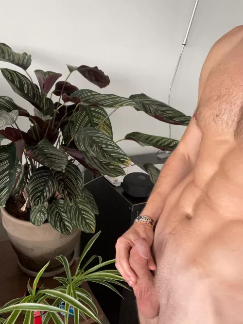 Finally embracing myself. Any love for a 27 yo bisexual guy?