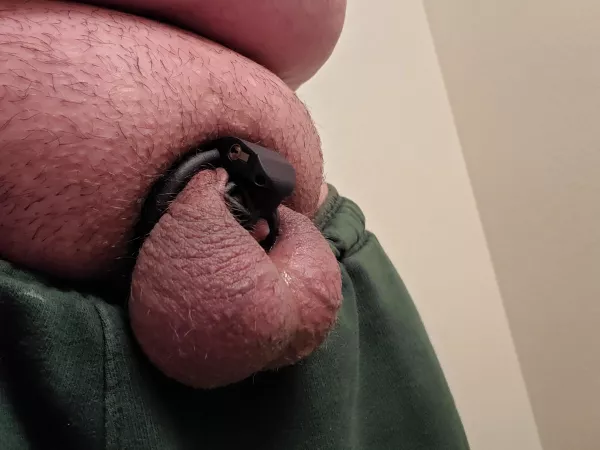 Finally found a cage to properly fit my tiny cock.