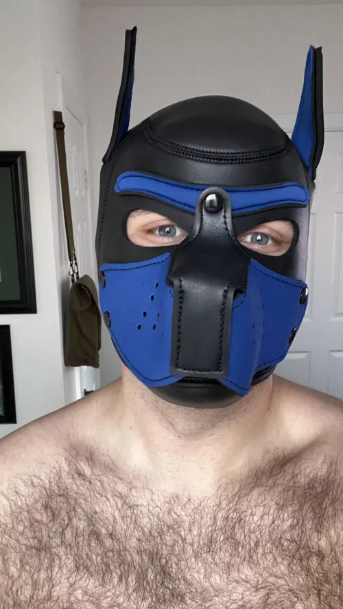 Finally got my hood 😈