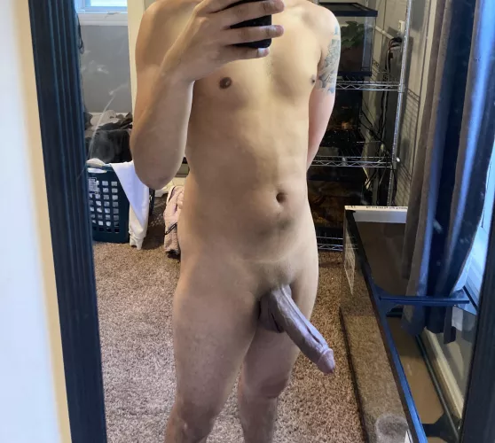 First time Bull hmu M4F Iowa