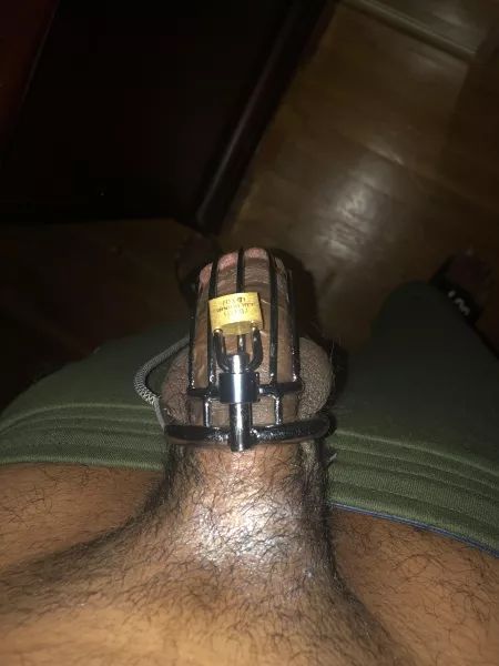 First time with a full erection in a large cage [1st timer]