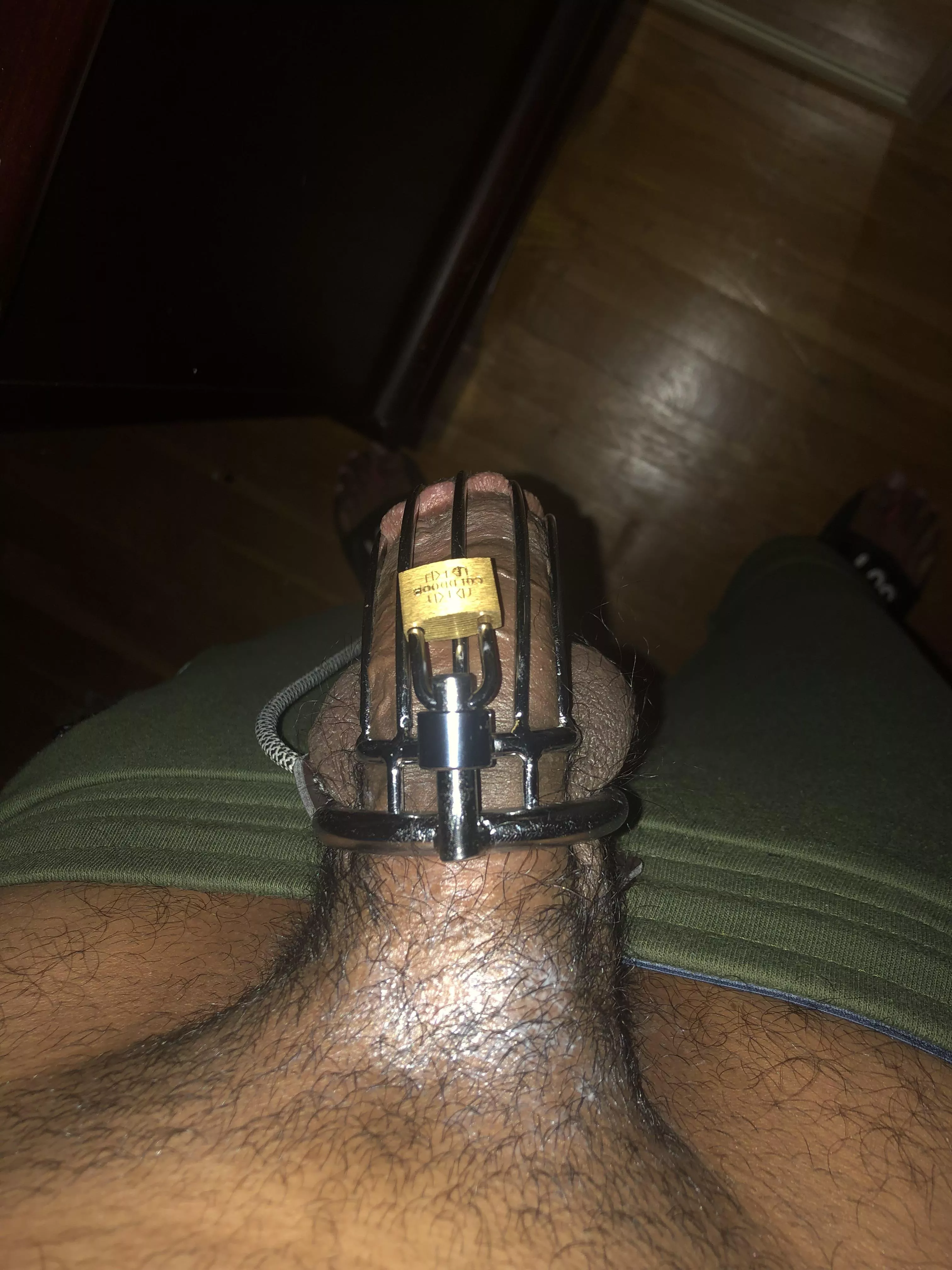 First time with a full erection in a large cage [1st timer]