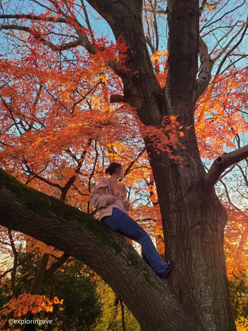 Flashing my tits to passerby's in the park 🙈
