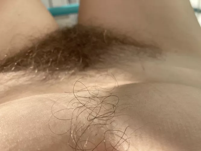 Follow my happy trail down to my rug