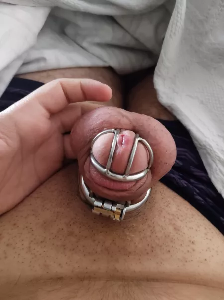 Found a gf who's into chastity play and she's told me we'd start with a 3-week lock up, I'm feeling so lucky 💞