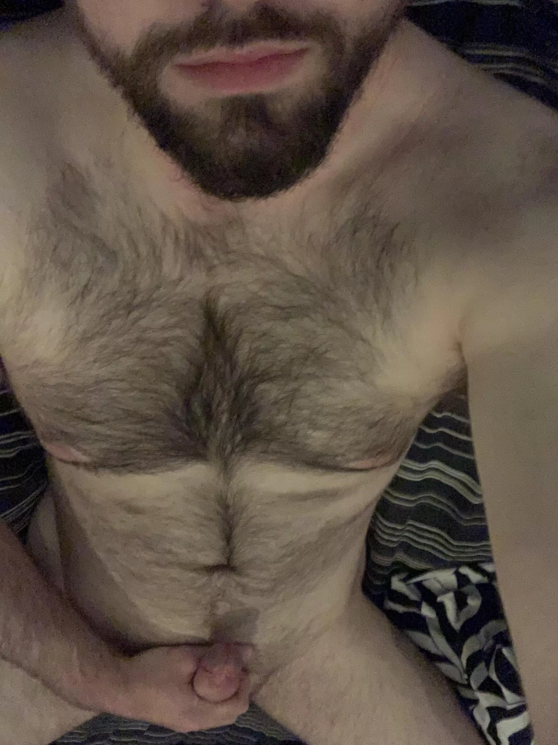 Furry fun