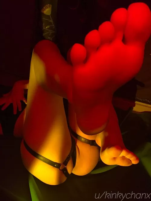 Get on your knees and start begging for permission to worship my toes.