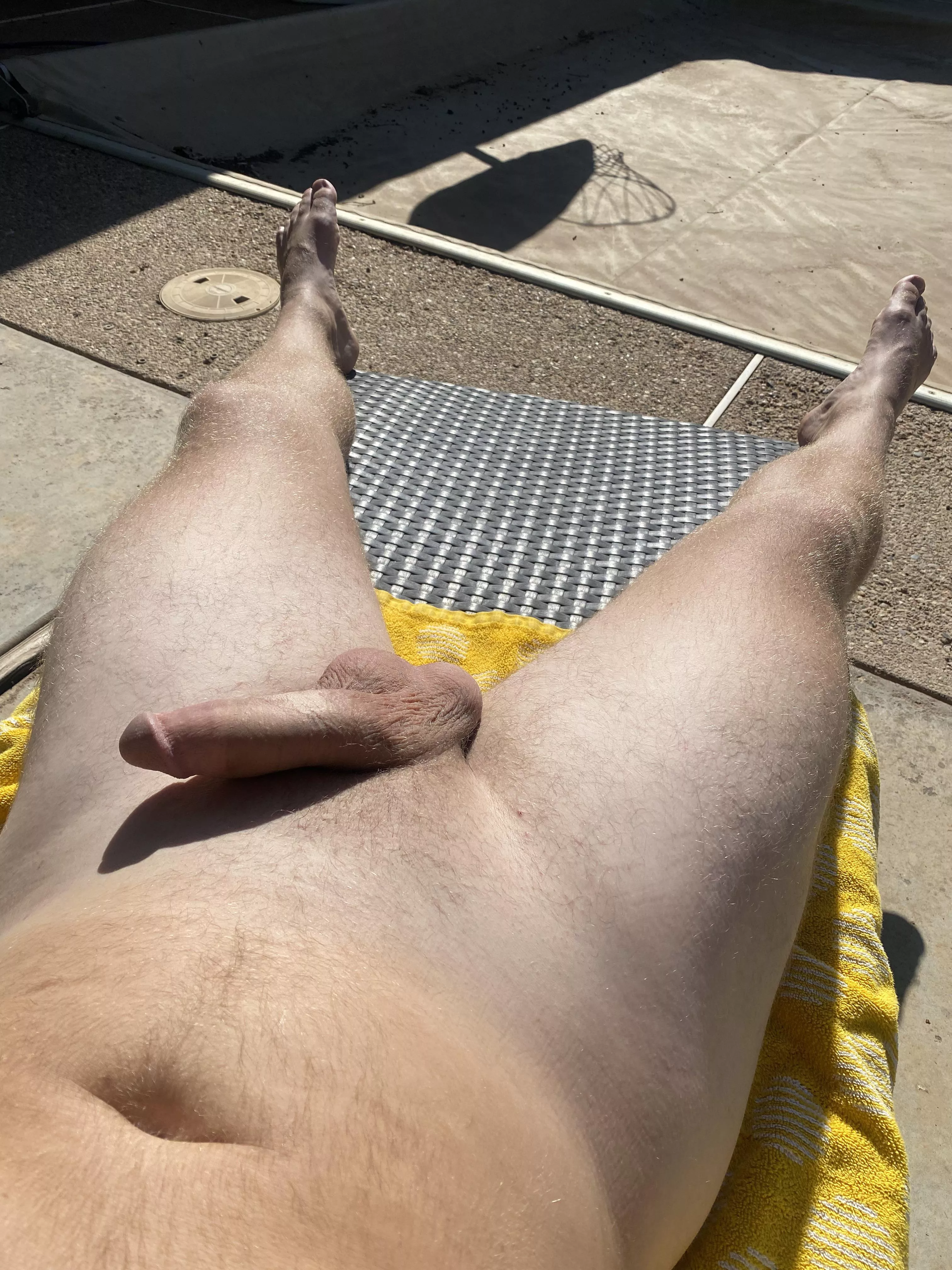 Getting a little sun. Anyone like?