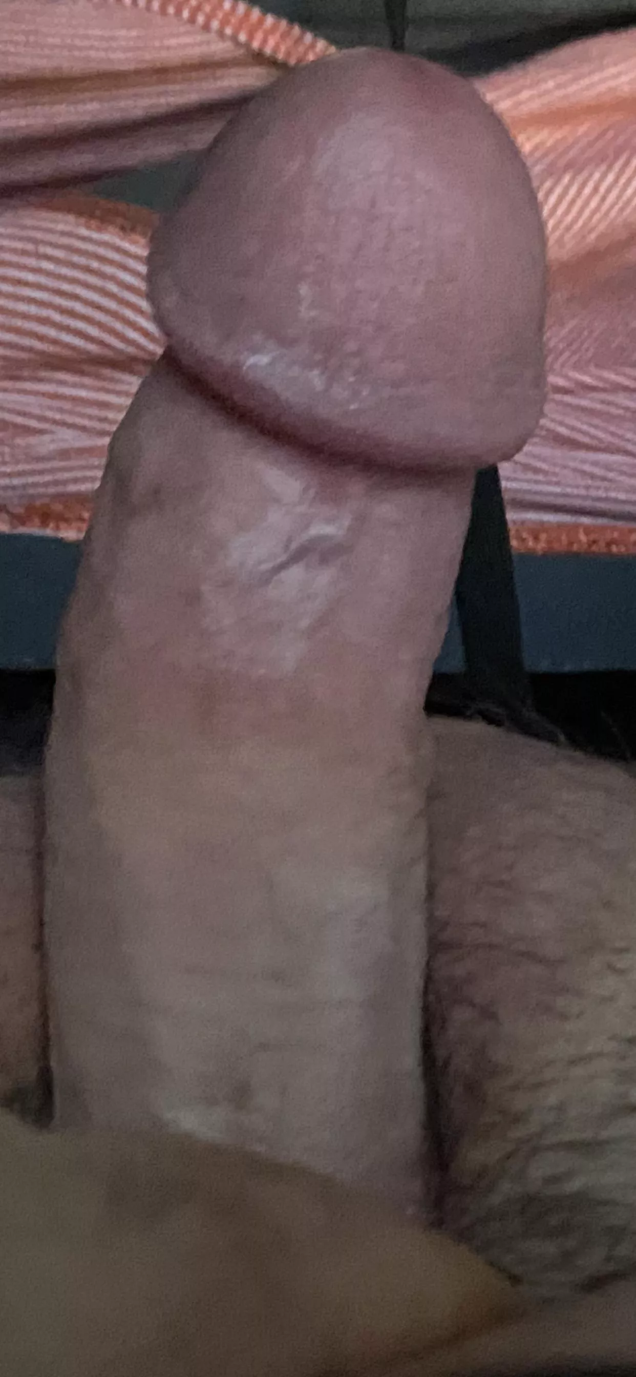 Good morning! Woke up standing at attention [38]