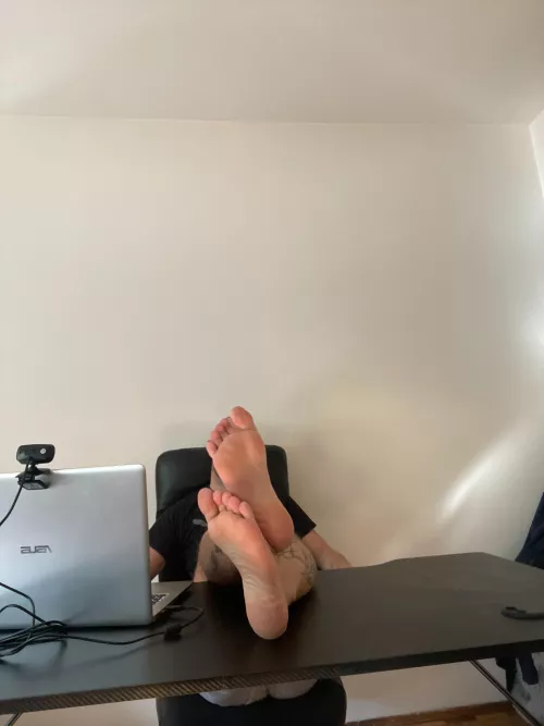 good morning yall 🐽