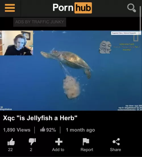 Good question indeed