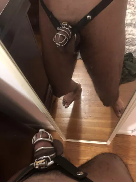 Got an elastic band for my cages today and man, does it feel so much better to wear cages