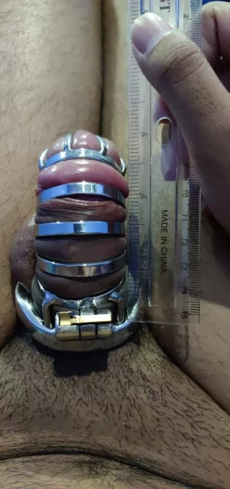 got my long distance boyfriend a chasity cage. my goal is to turn his dick into a little dicklet. look how small and pathetic it looks. i love making him beg and be desperate to cum. got my long distance boyfriend a chasity cage. my goal is to turn his dick into a little dicklet. look how small and pathetic it looks. i love making him beg and be desperate to cum.