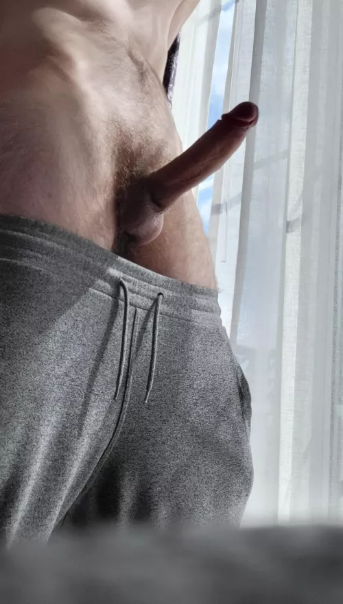 Gray sweatpants and hard cock, anyone?