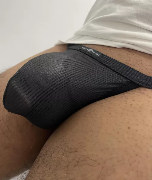 Gstring cock outline