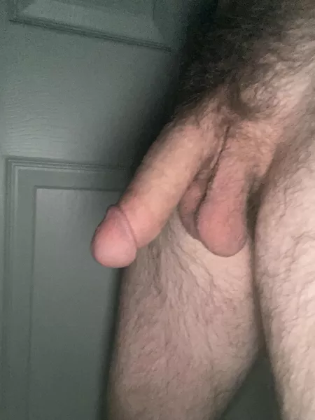 Hairy Soft Dick