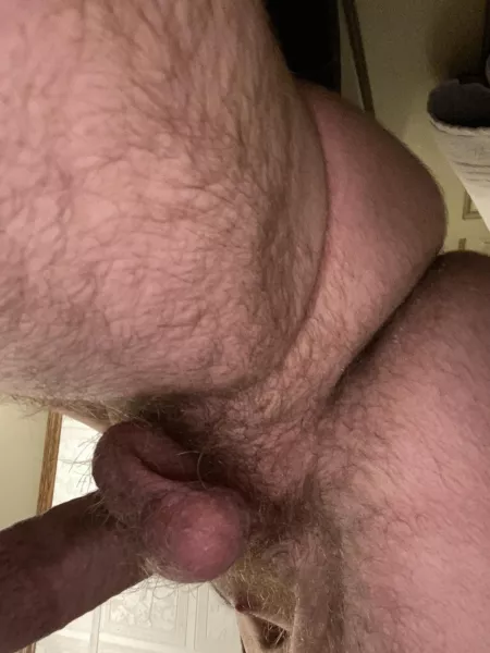 Hairy taint. Hairy taint.