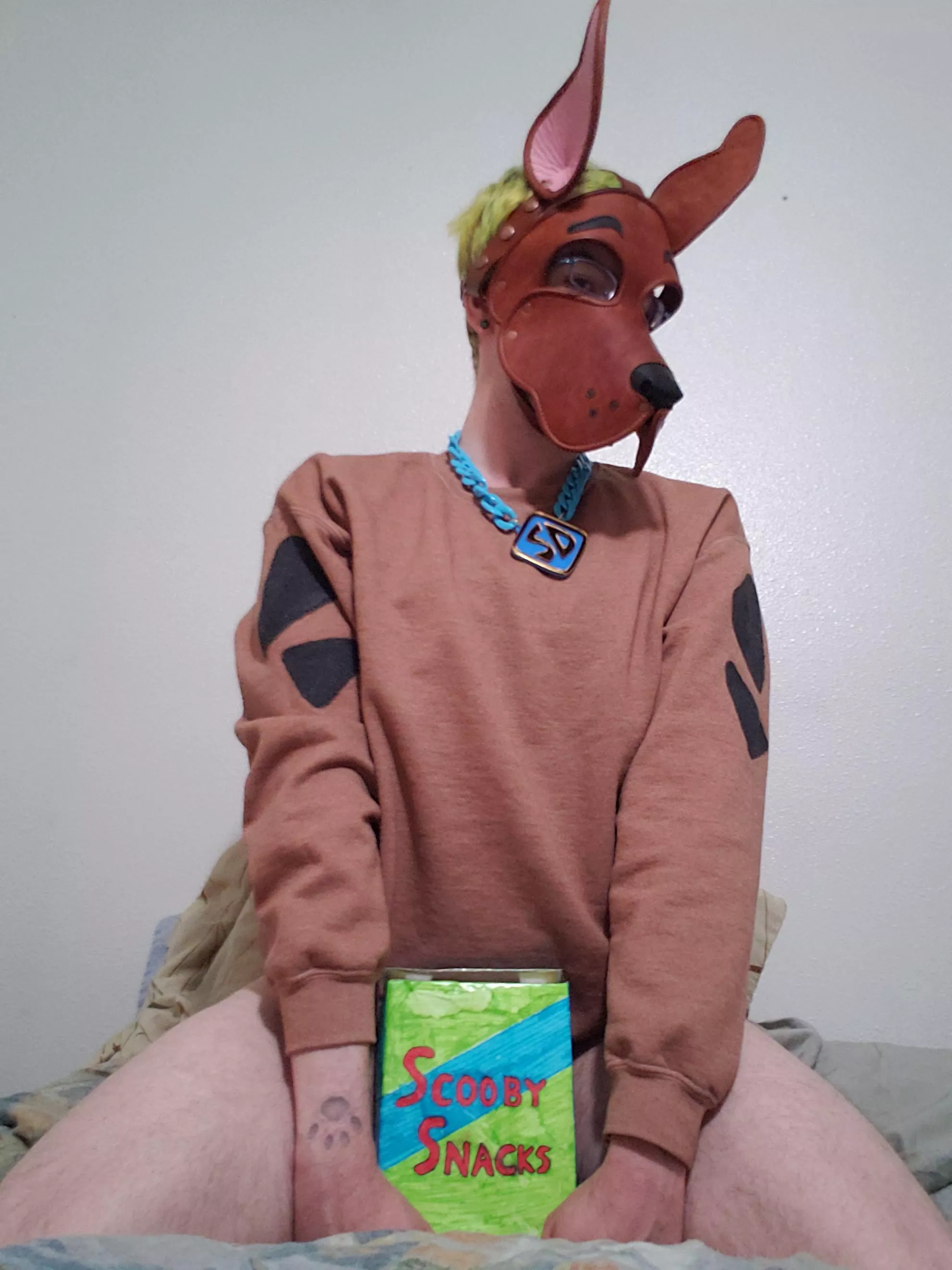 Halloween was a fun opportunity to pick up a new hood. Could I interest anypup in a Scooby Snack? 🐶