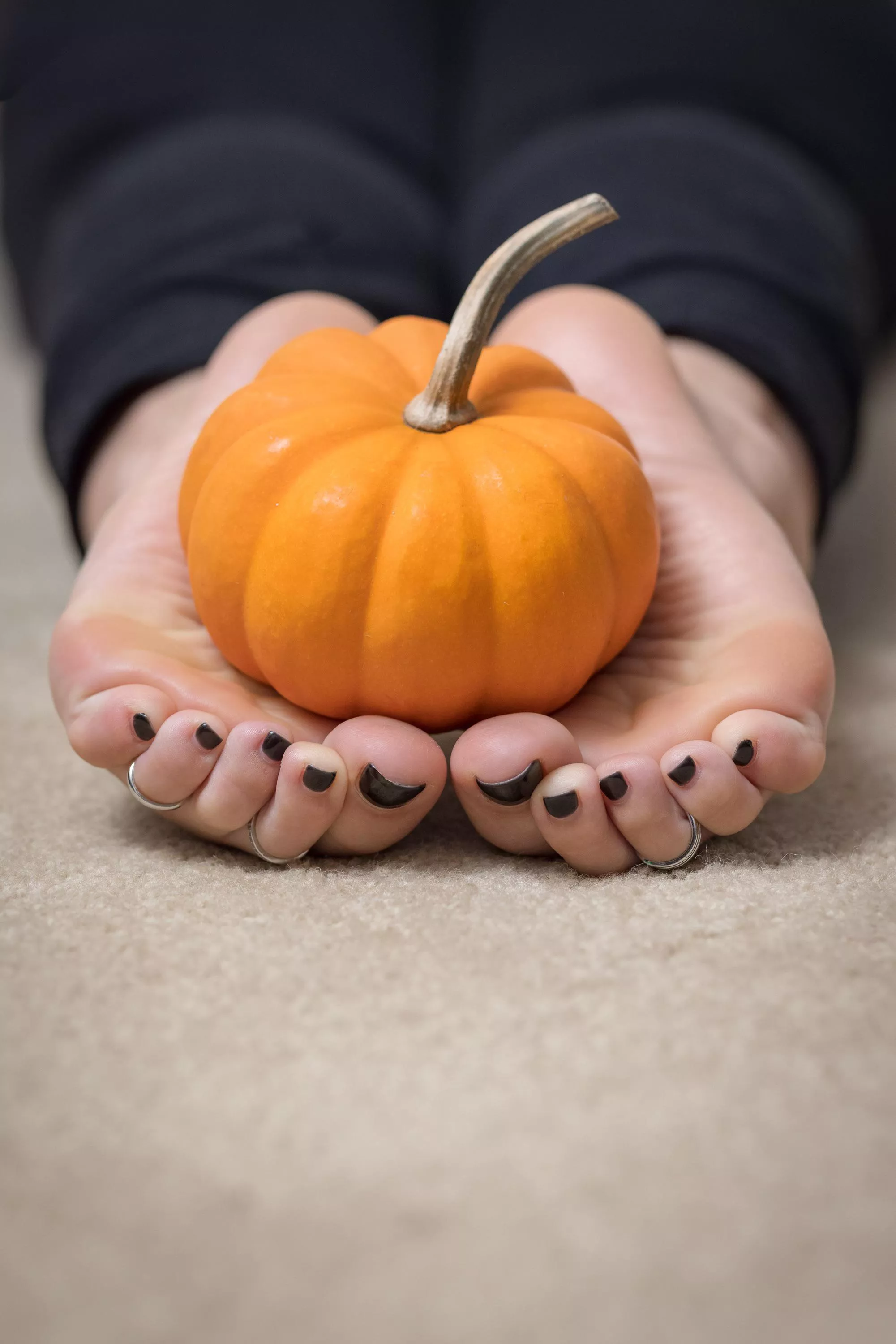 Happy Fall Y’all