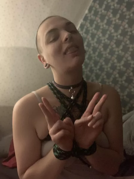 Happy lil kitten in (f)av star harness tie 😽