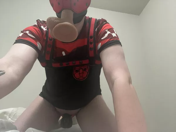 Happy locktober pups! Happy locktober pups!