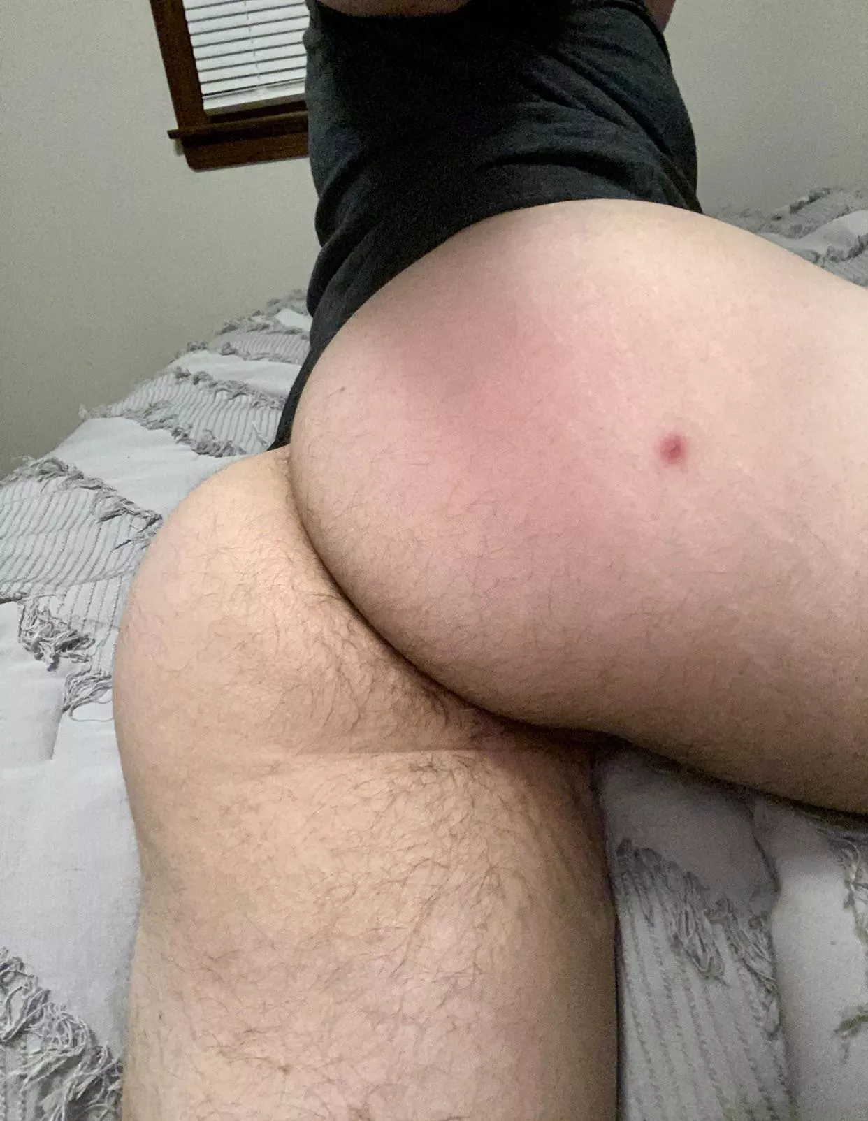 Happy Saturday