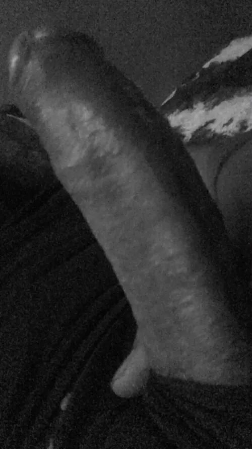 Haven’t posted in a while thinking about trying a flashlight what do y’all think?