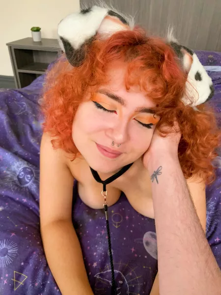 Head scratches are a petβs best friend π₯Ίπ₯° Head scratches are a petβs best friend π₯Ίπ₯°