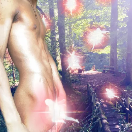 Hello and welcome to the Fairy Forest! Hello and welcome to the Fairy Forest!