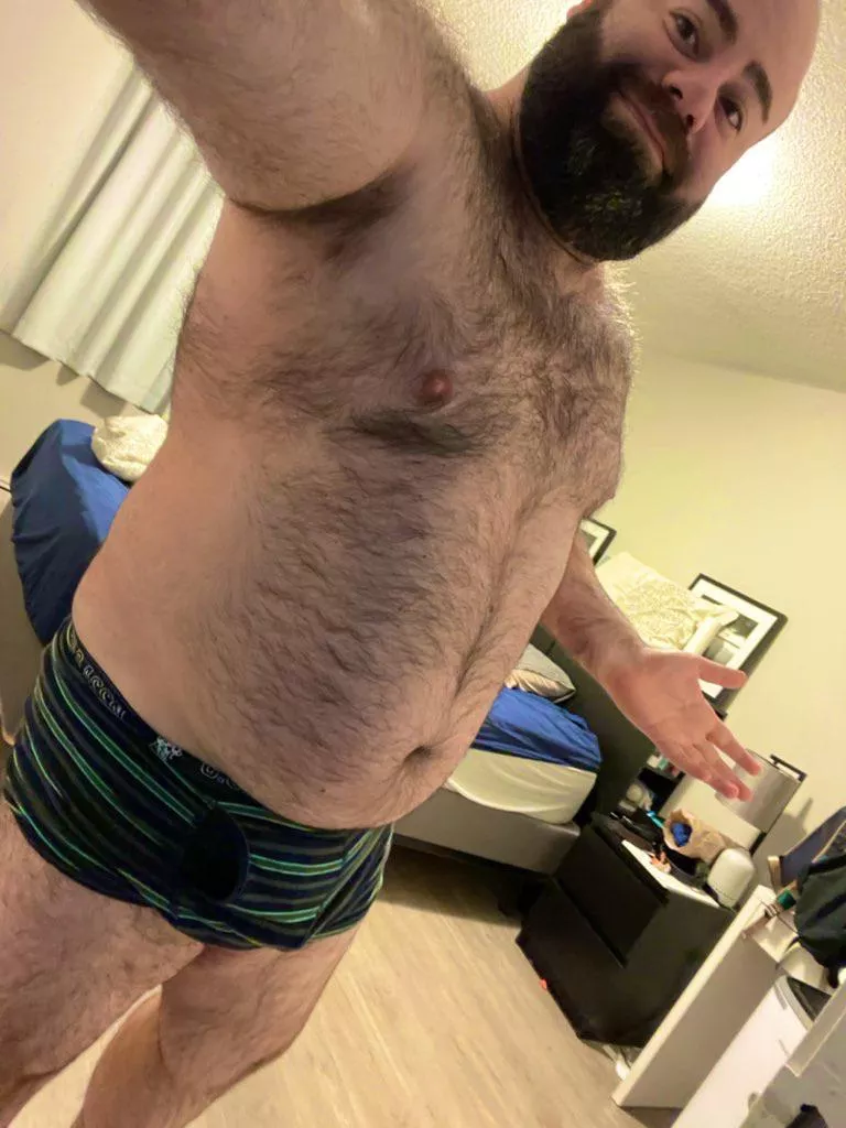 Hello 🐻