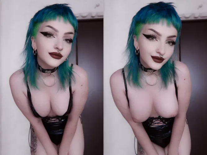 Hello there! Hello there!