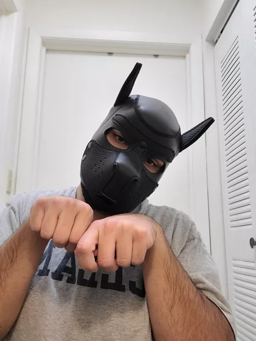 Hello there! I'm Attkins, nice to meet you!