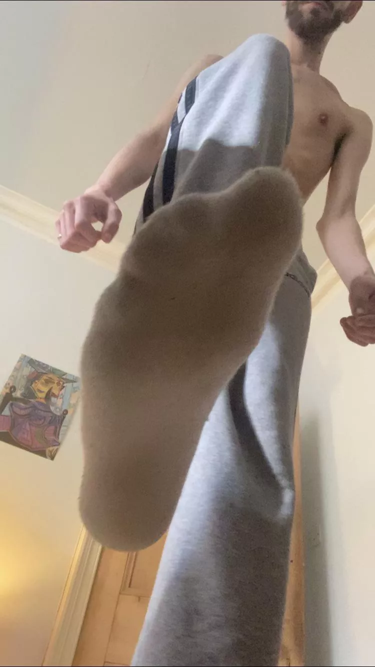 hello tinies