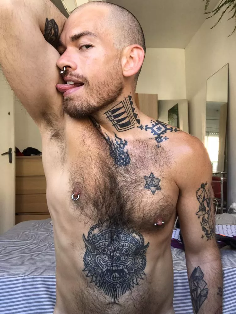 Hey 🐻