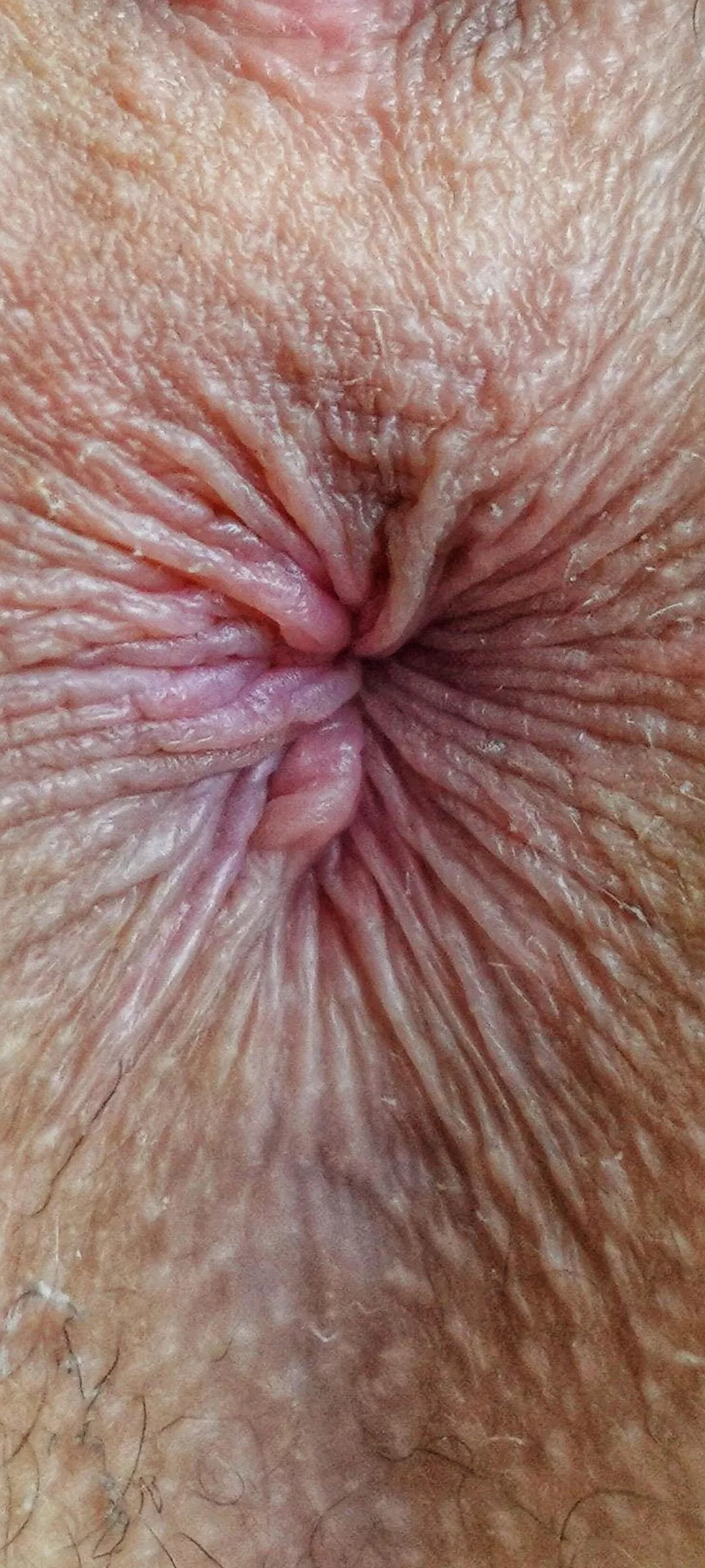 hey guys I have a wallpaper for you on the phone - my sweet and tight anus - you can lick it and always have it with you - it's already itchy ... Put a hard cock in my ass! hey guys I have a wallpaper for you on the phone - my sweet and tight anus - you can lick it and always have it with you - it's already itchy ... Put a hard cock in my ass!