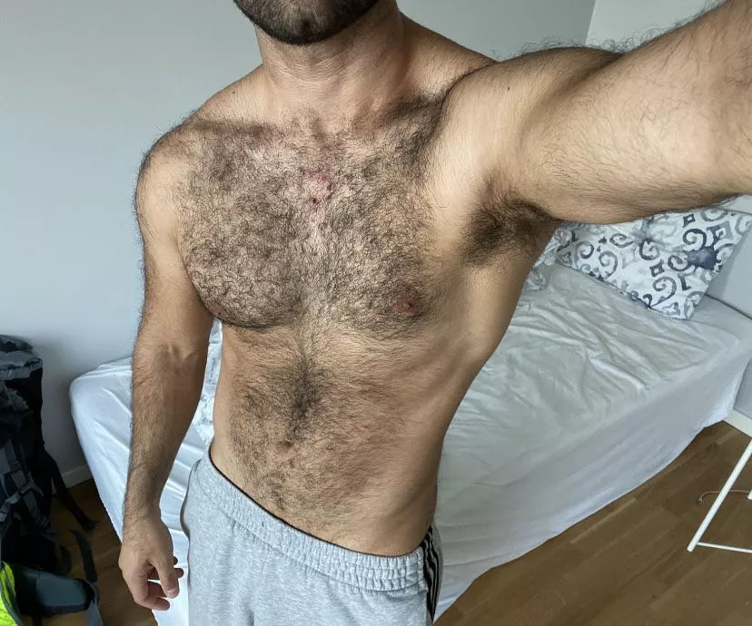 Hi