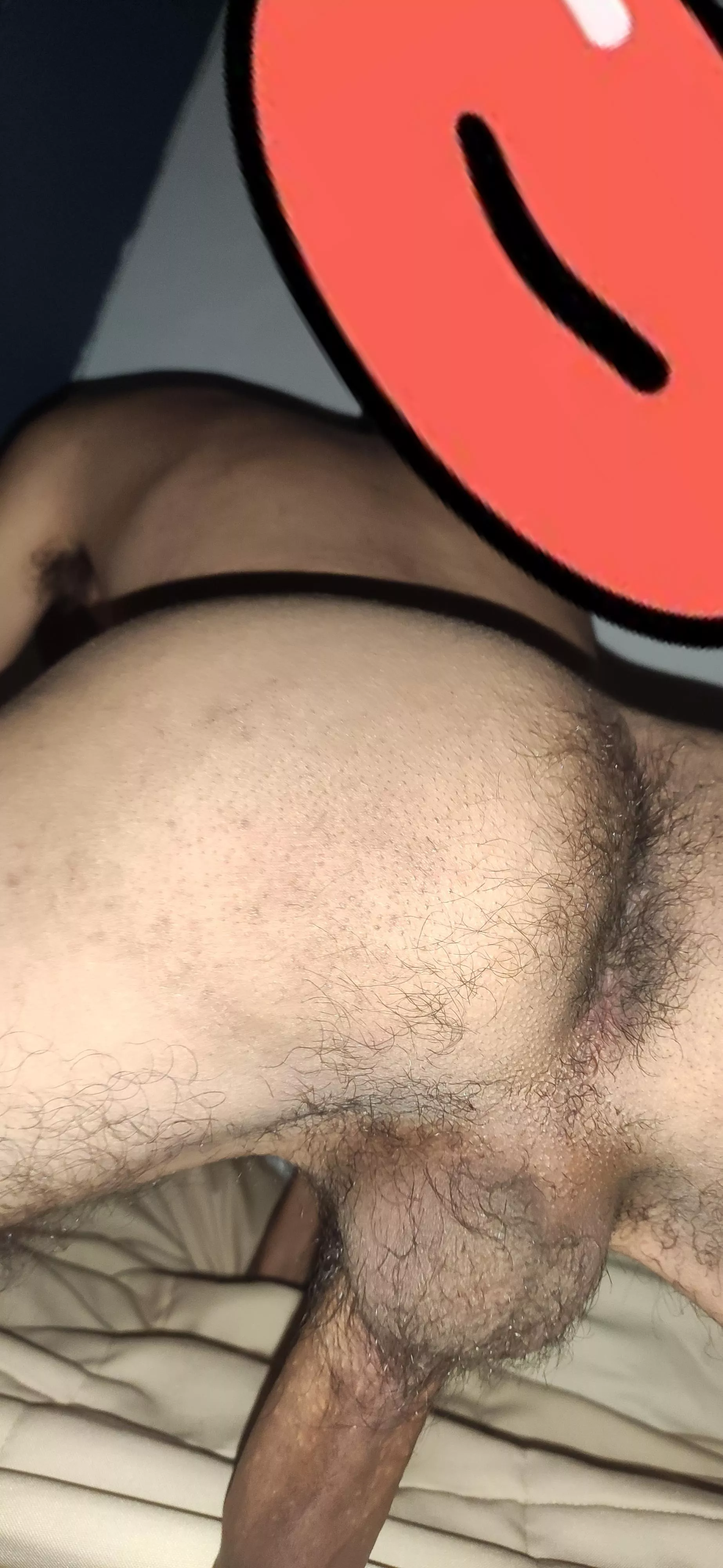 Hi