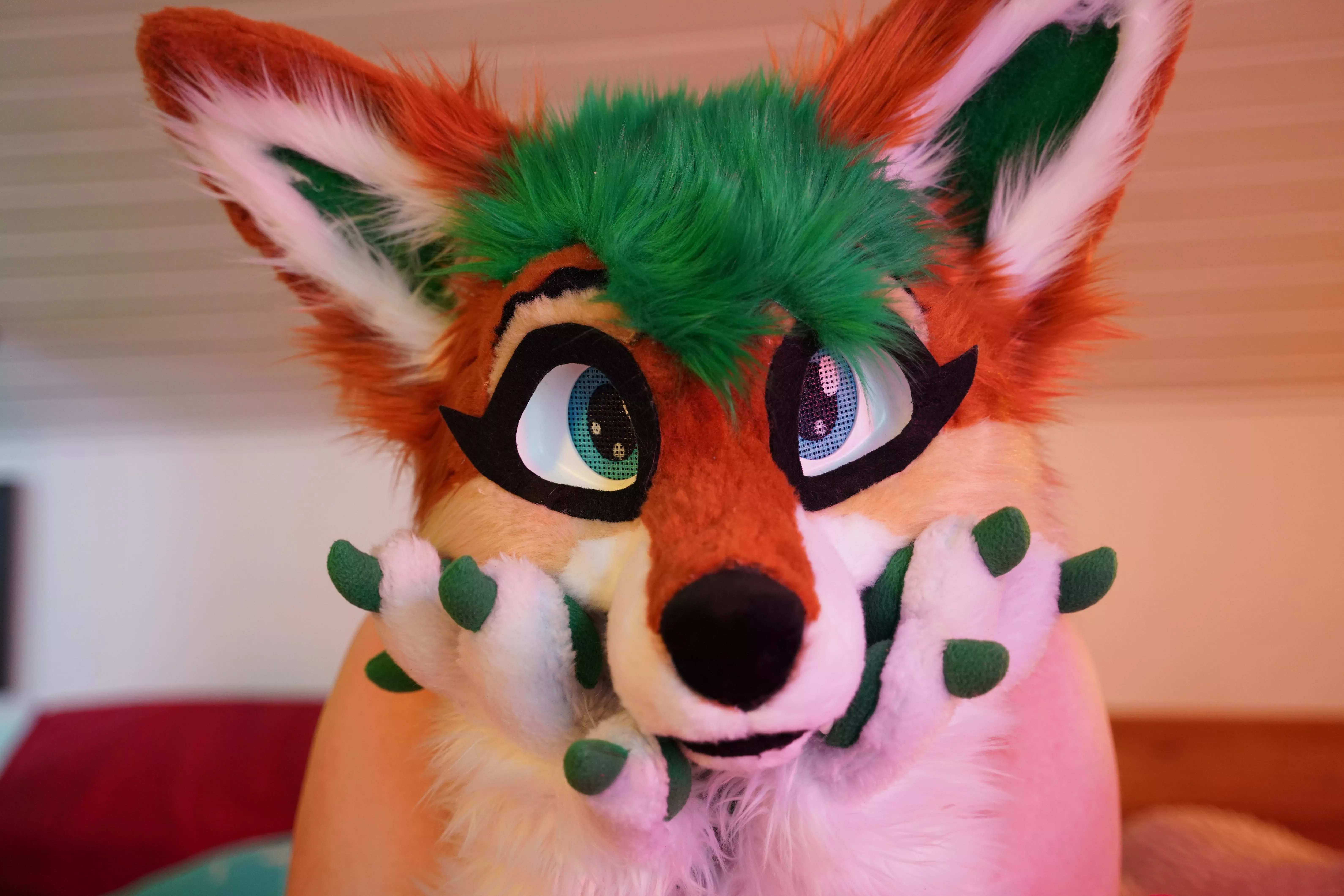 Hi, i'm absolutely new here on reddit and want to make some friends. My name is furry_foxxy and i'm a live streamer